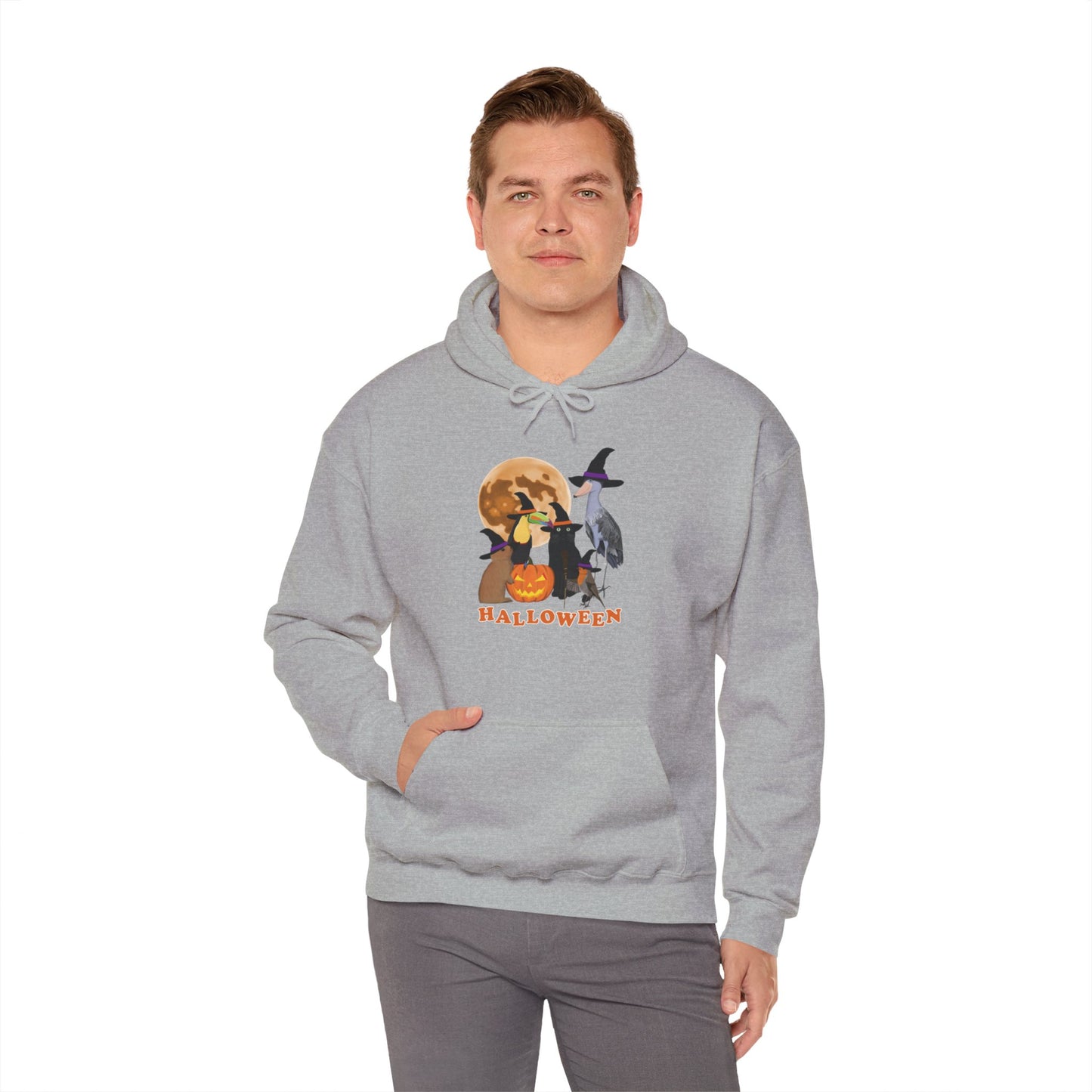 Toucan Robin Shoebill with Cat and Bunny Halloween Bird Hoodie