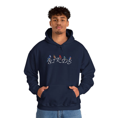 Birds Blue Jay Cardinal Robin Tree Swallow Bluebird Birding & Birdwatching Hoodie