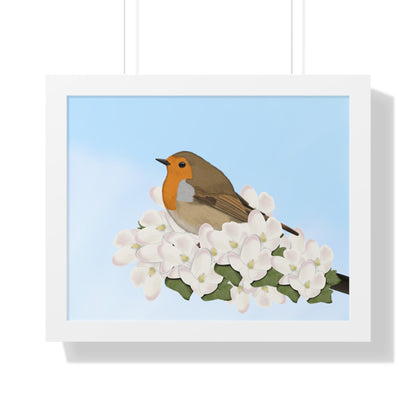 Robin Spring Blossoms Bird Framed Poster