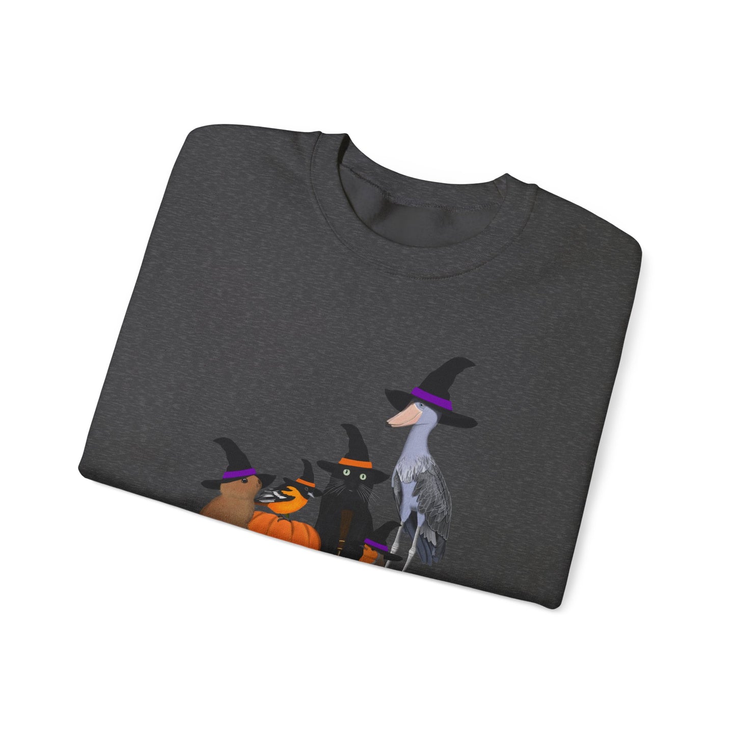 Robin Shoebill Oriole Rabbit with Cat Halloween Birds Sweatshirt