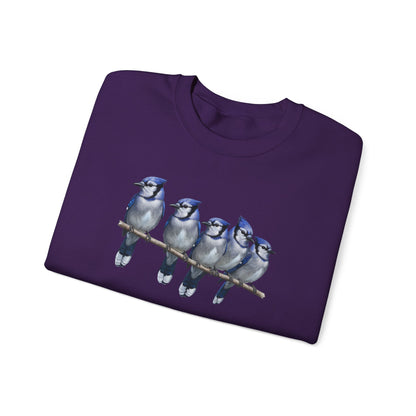 Blue Jays Sweatshirt | Bird Watcher Crewneck | Unisex Songbird Gift for Bird Lovers