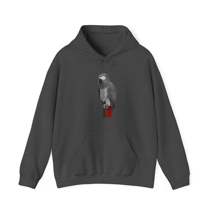 Grey Parrot Bird Birdwatching Birder Hoodie