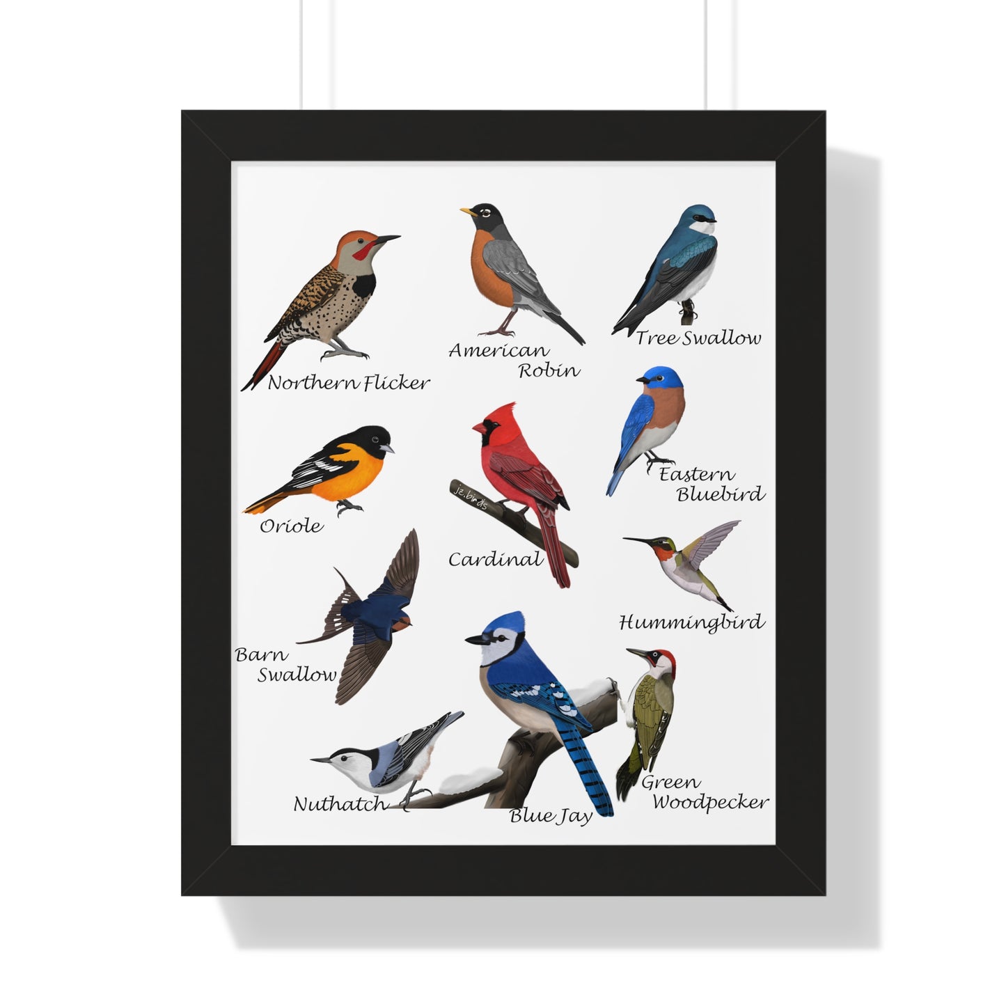 backyard birds framed poster