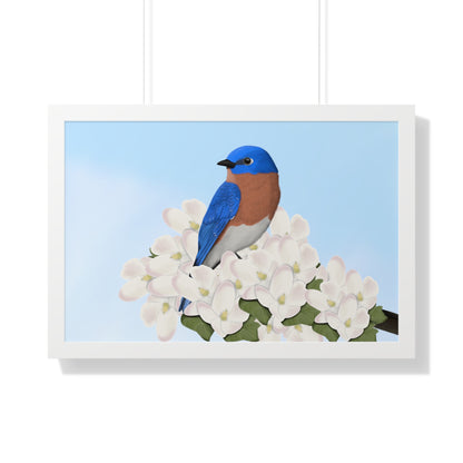 Eastern Bluebird Spring Blossoms Bird Framed Poster