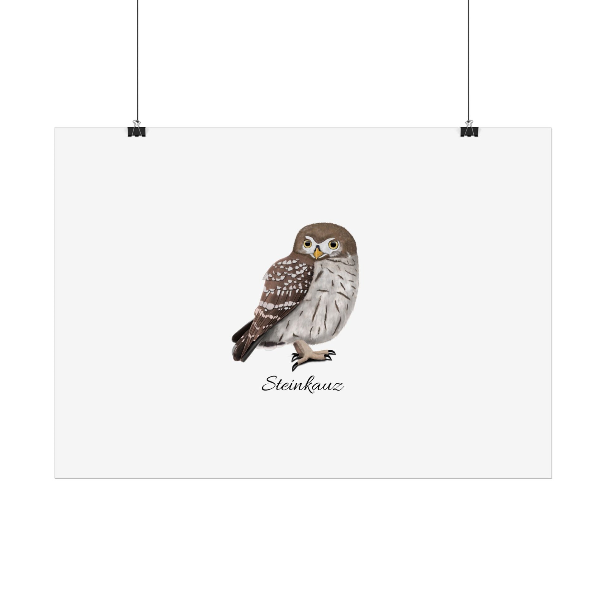 Eule Steinkauz Vogel Poster Weiß – Glossy,