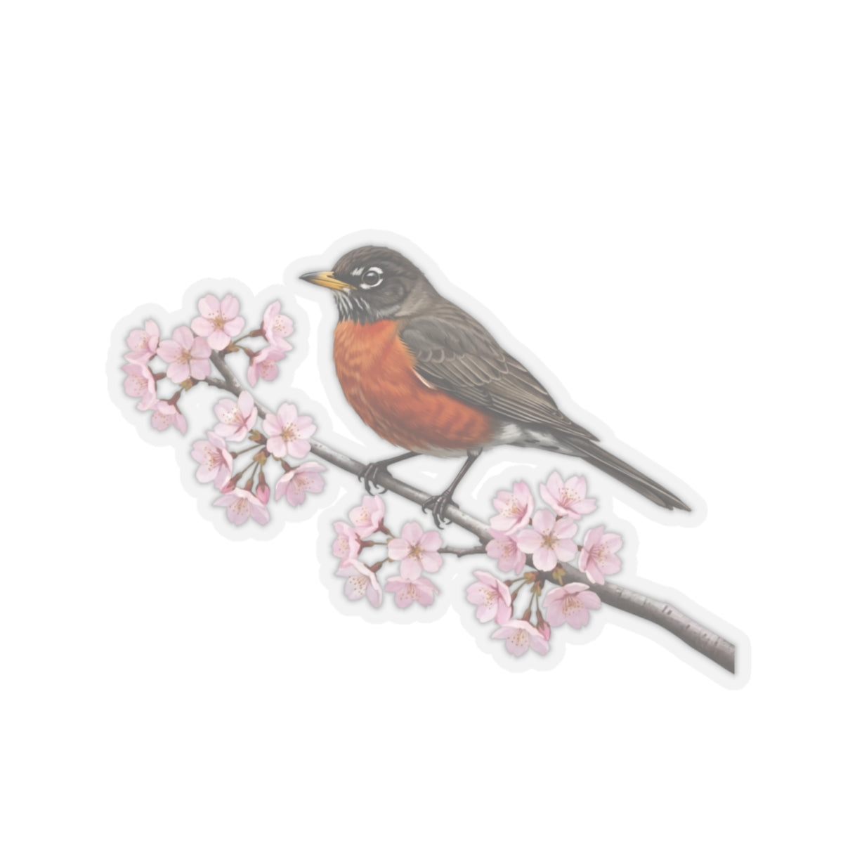 American Robin Stickers on bird sticker background