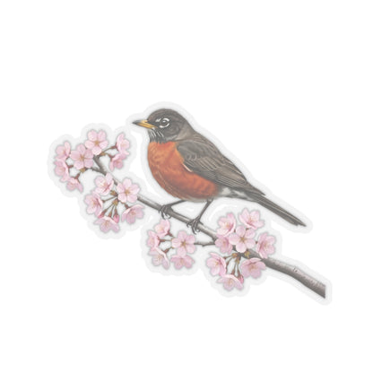 American Robin Stickers on bird sticker background