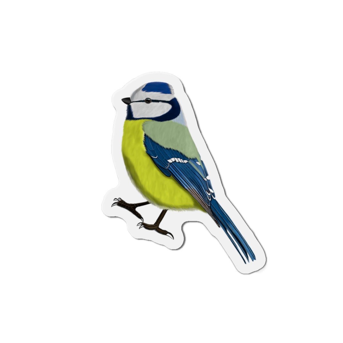 Blue Titmouse Bird Magnet