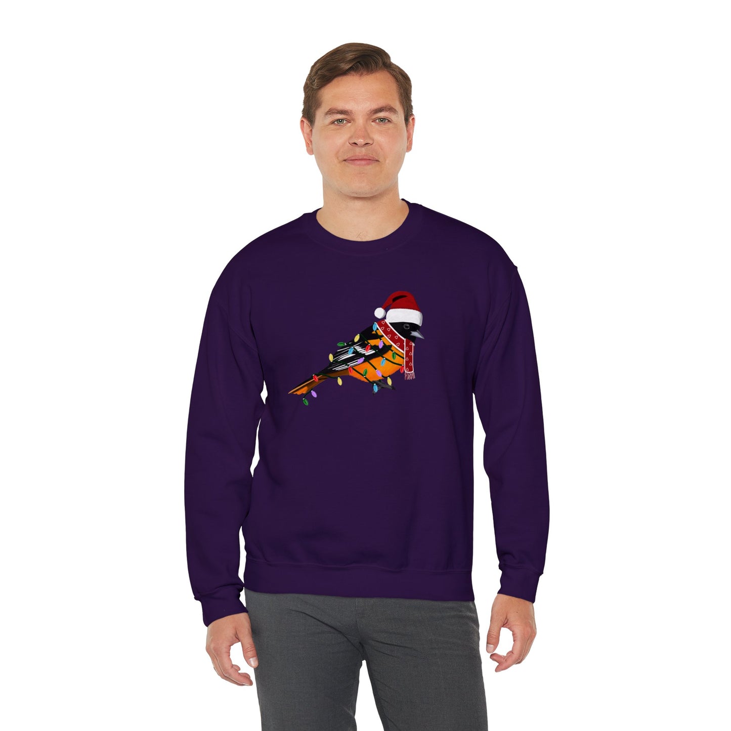 Baltimore Oriole with Fairy Lights Santa Claus Christmas Bird Sweatshirt