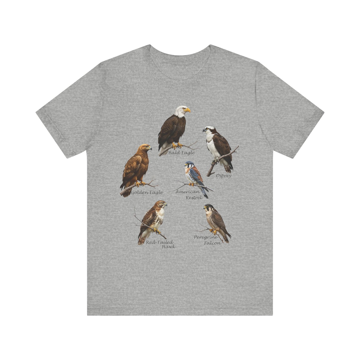North American Raptors Shirt – Bald Eagle, Hawk, Osprey & Falcon Field Guide