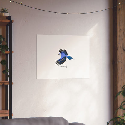 Blue Jay Bird Birding Matte Poster