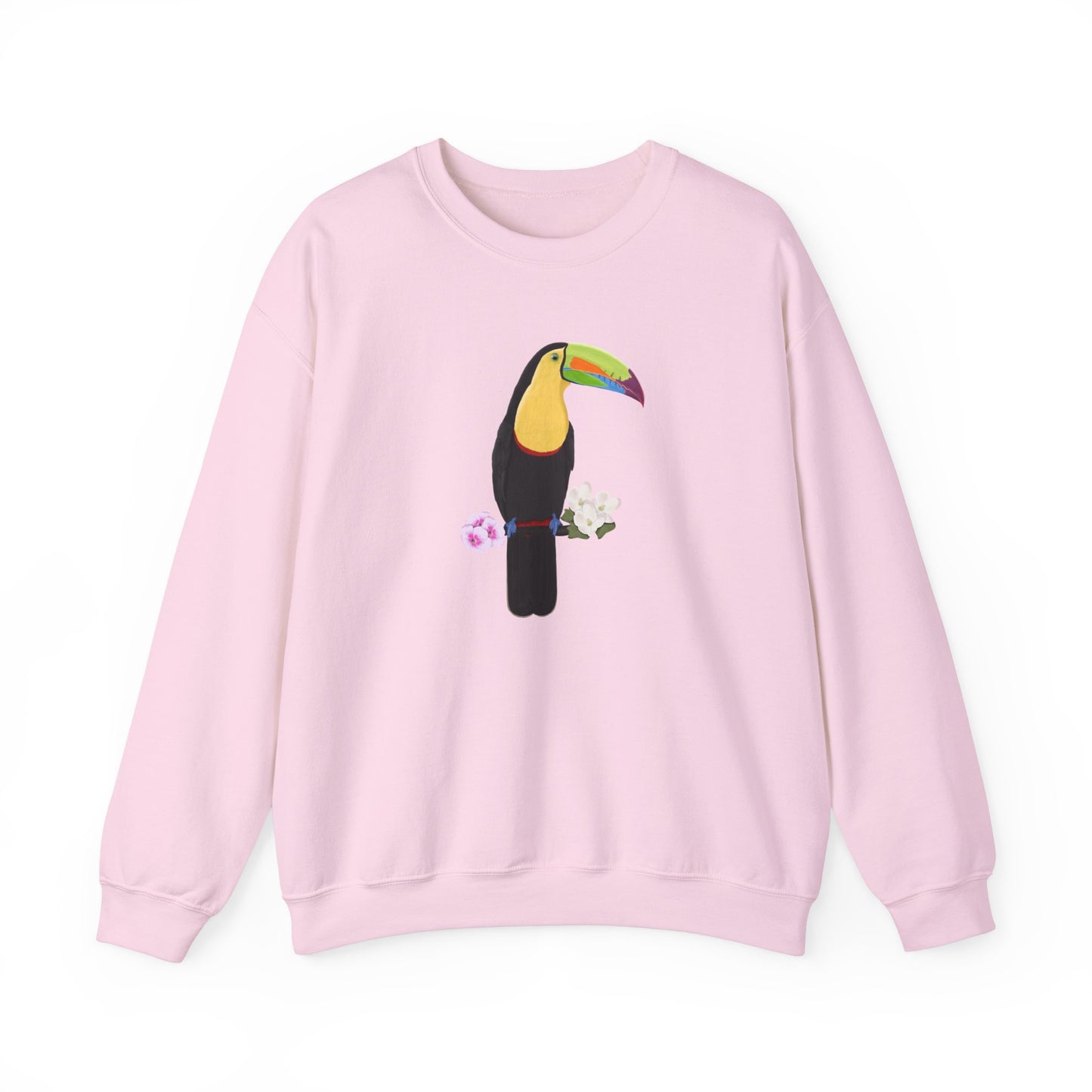 Keel-Billed Toucan Birdlover Ornithologist Bird Sweatshirt