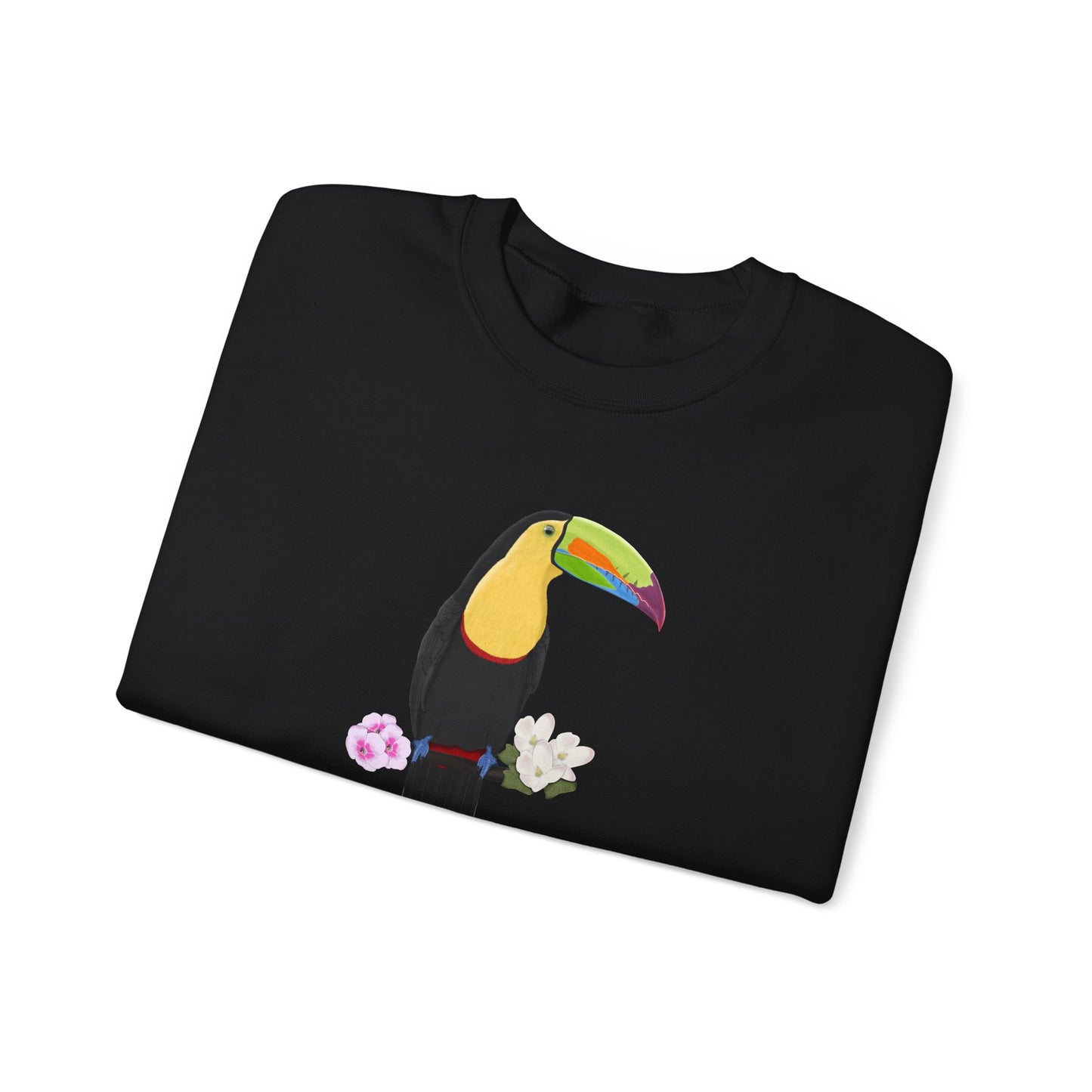 Keel-Billed Toucan Birdlover Ornithologist Bird Sweatshirt