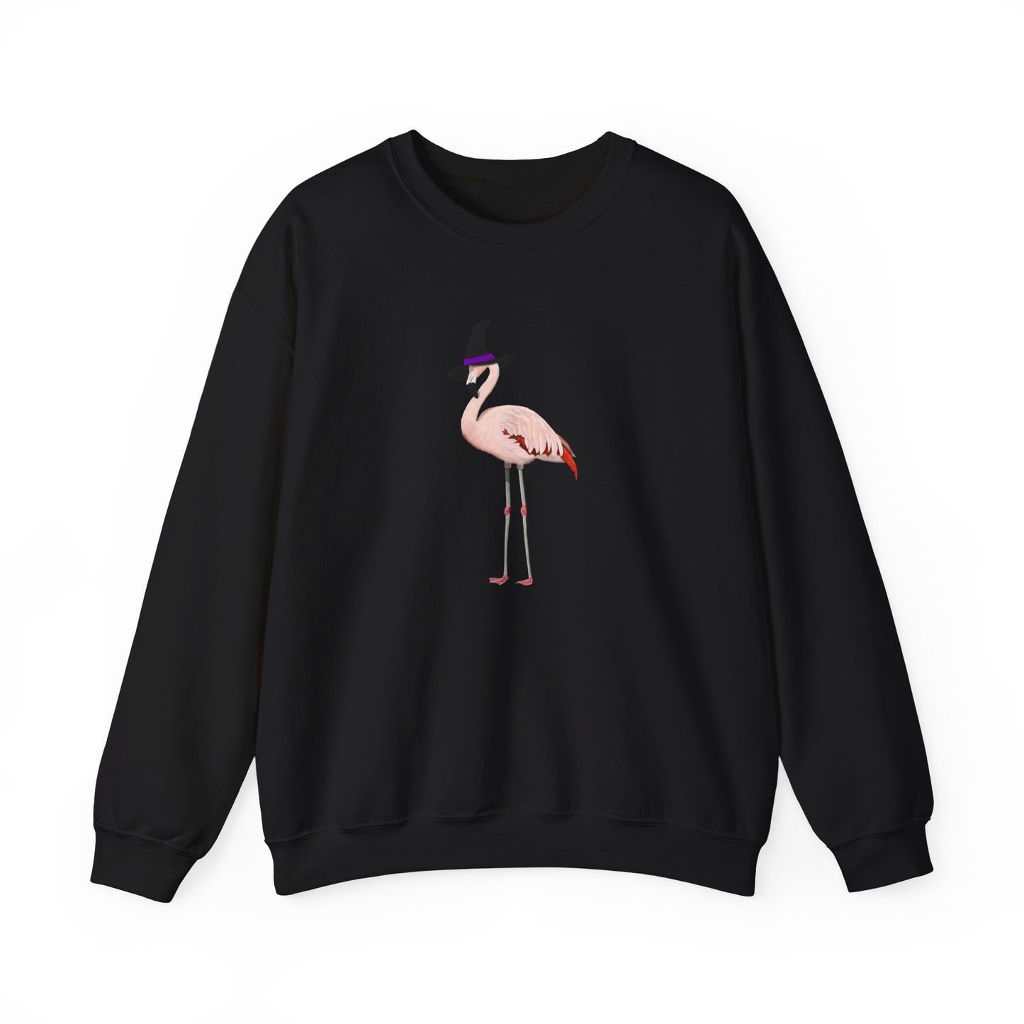 Flamingo Halloween Birds Witch Birdwatcher Sweatshirt