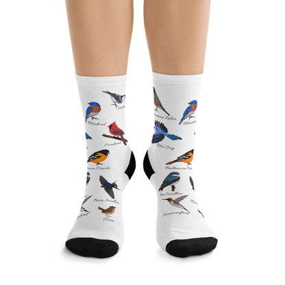 Garden Birds Blue Jay Cardinal Bluebird Robin Birding & Birdwatching Bird Socks White