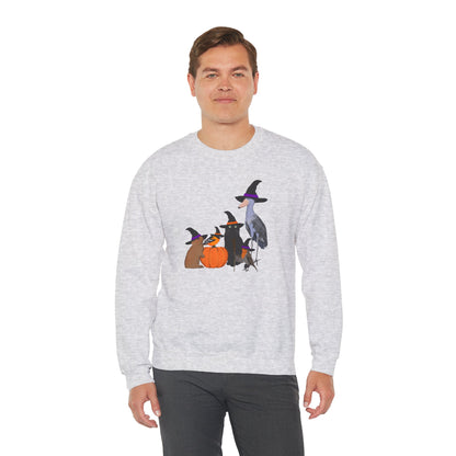 Robin Shoebill Oriole Rabbit with Cat Halloween Birds Sweatshirt