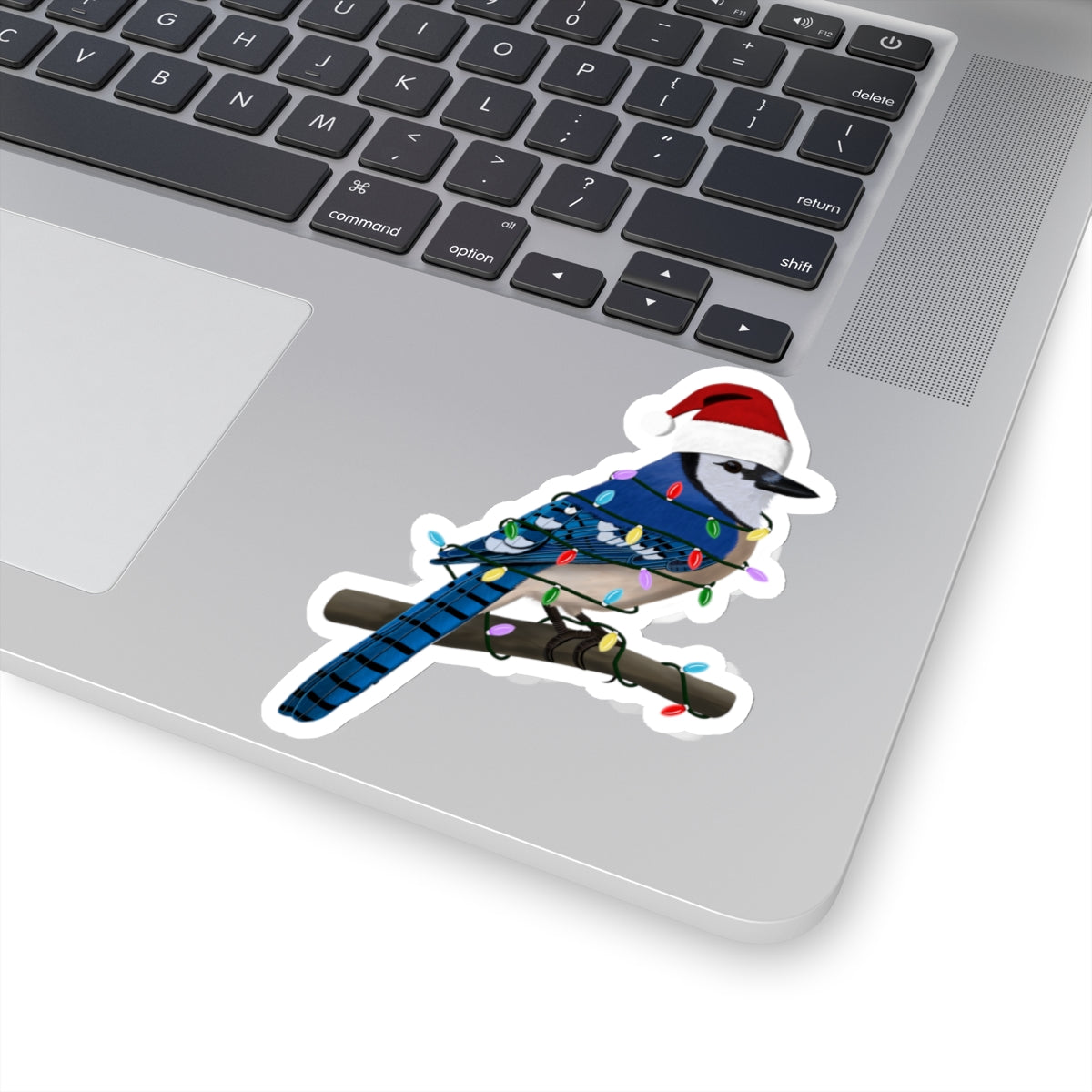 Blue Jay with Fairy Lights and Santa Claus Hat Christmas Bird Sticker