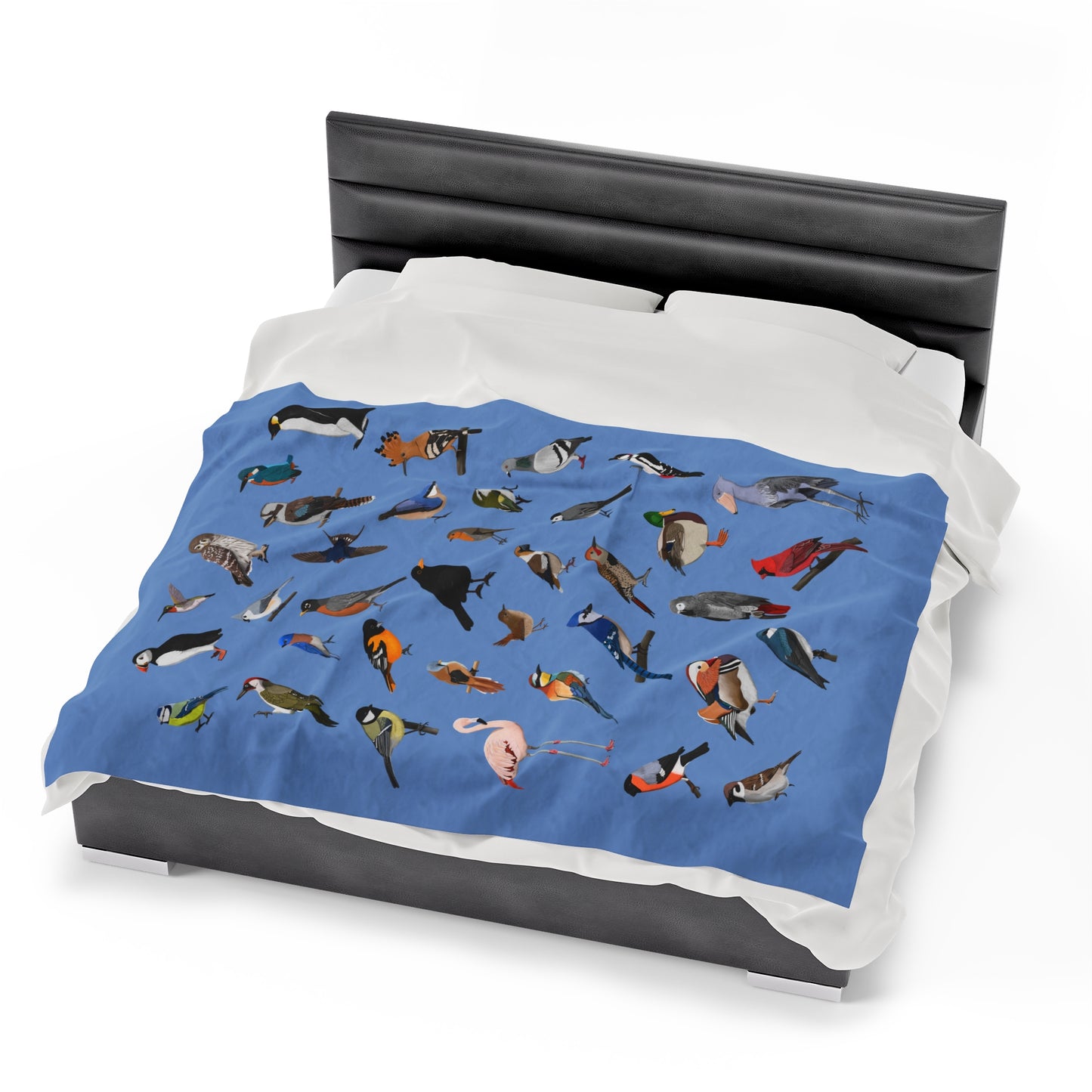 Blue Jay Cardinal Robin Bluebird Hummingbird Oriole Backyard Birds Velveteen Plush Blanket Blue