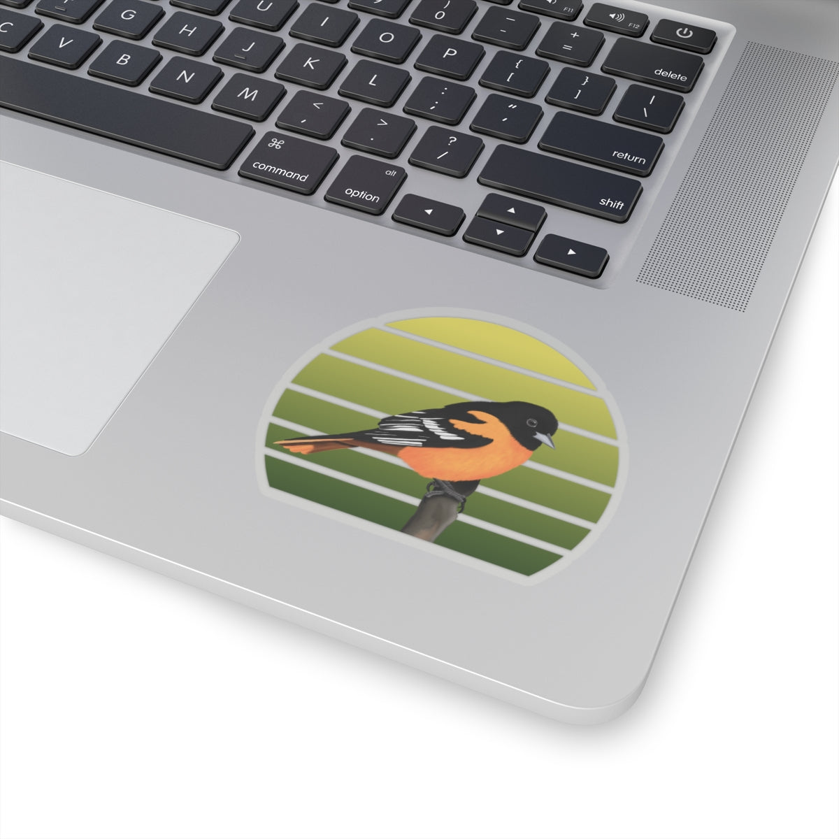 Baltimore Oriole Bird Sticker