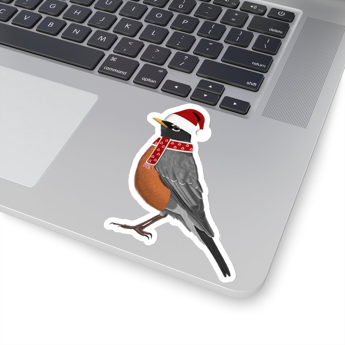 Robin with Santa Claus Hat and Scarf Christmas Bird Sticker