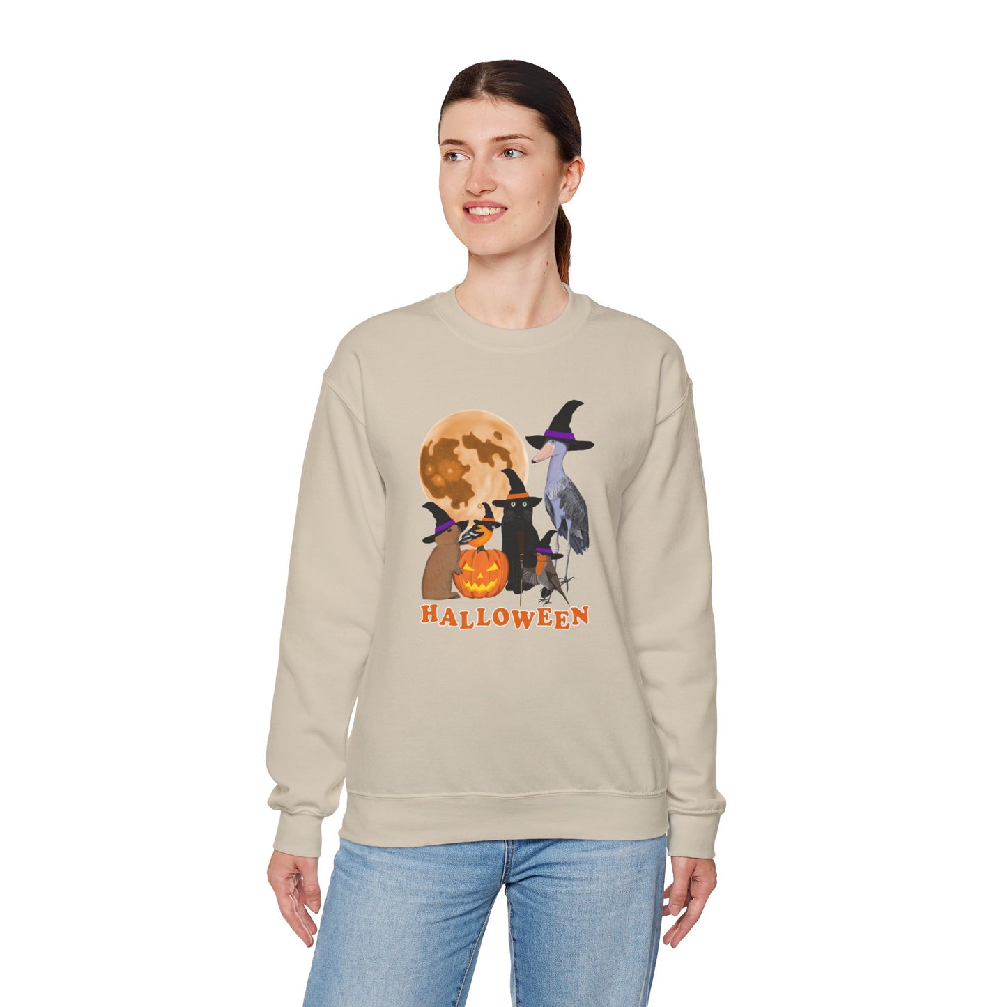 Oriole Robin Shoebill Rabbit with Cat and Bunny Halloween Bird Sweatshirt