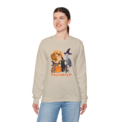 Oriole Robin Shoebill Rabbit with Cat and Bunny Halloween Bird Sweatshirt