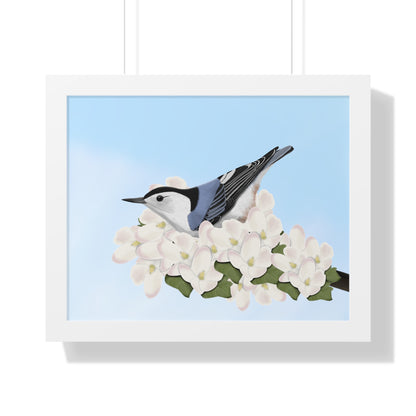 Nuthatch Spring Blossoms Bird Framed Poster