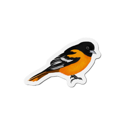 Baltimore Oriole Bird Magnet