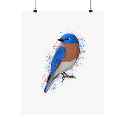 Bluebird Bird Artwork Matte Poster