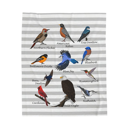 Blue Jay Cardinal Robin Bluebird Hummingbird Backyard Birds Velveteen Plush Blanket Grey White