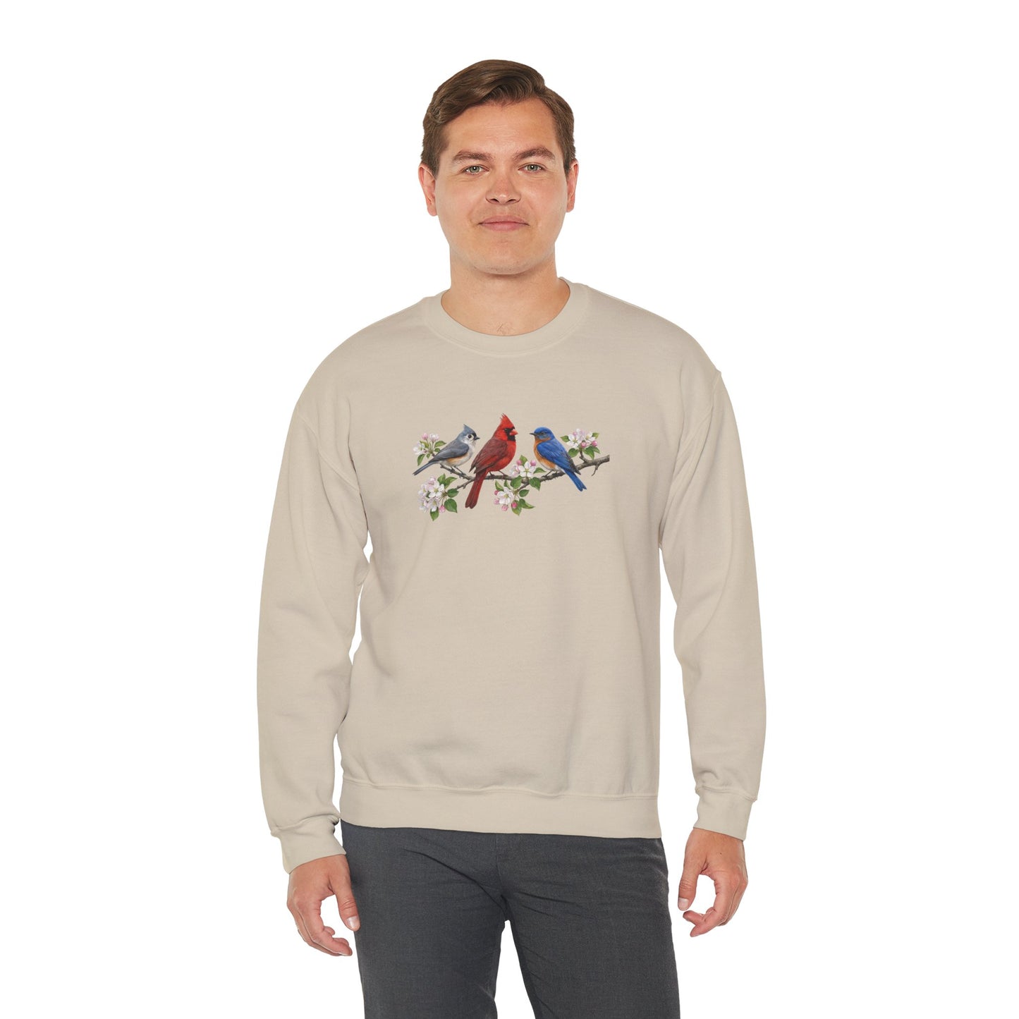 Tufted Titmouse, Bluebird and Cardinal Sweatshirt – Animal Lover Gift Avian Enthusiast style