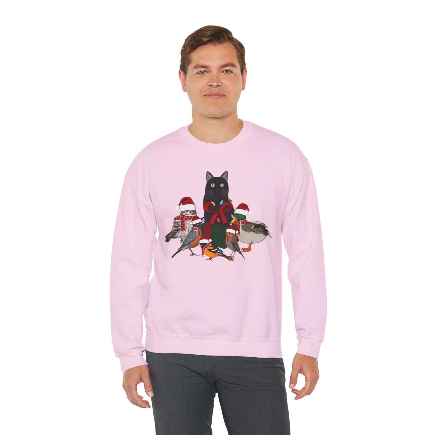 Robin Mallard Oriole Owl with Cat in a Box and Fairy Lights Birdwatcher Christmas Bird Sweatshirt