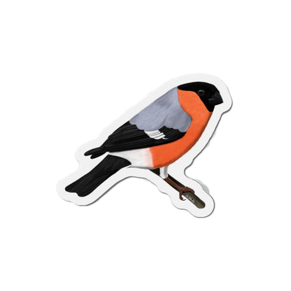 Bullfinch Bird Magnet