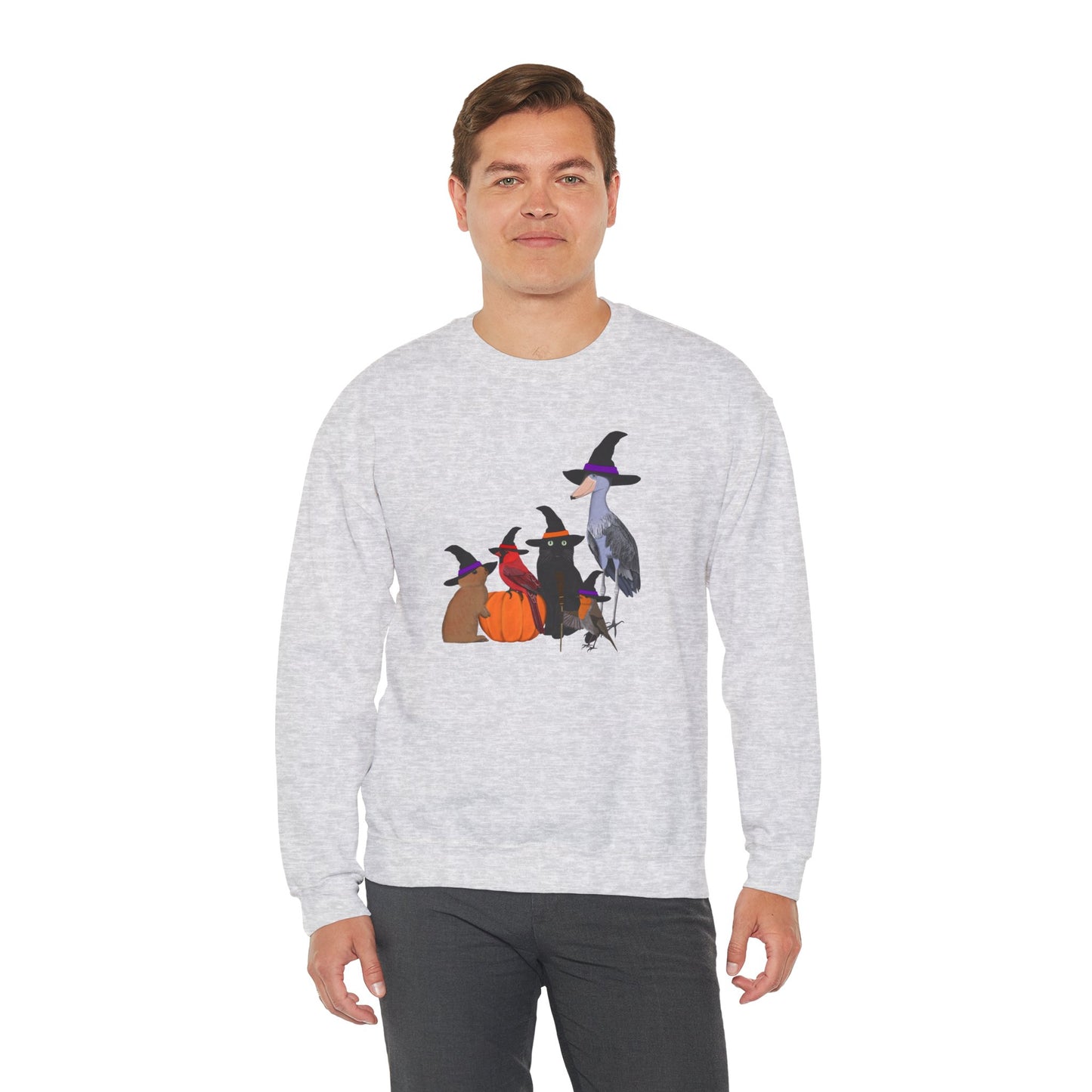 Robin Shoebill Cardinal Rabbit with Cat Happy Halloween Birds Sweatshirt