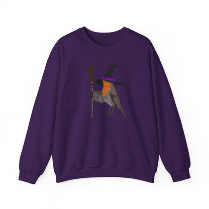Robin Halloween Witch Birdwatcher Biologist Bird Sweatshirt
