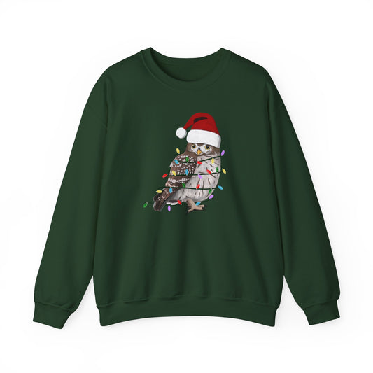 Owl with Fairy Lights Santa Claus Christmas Bird Sweatshirt