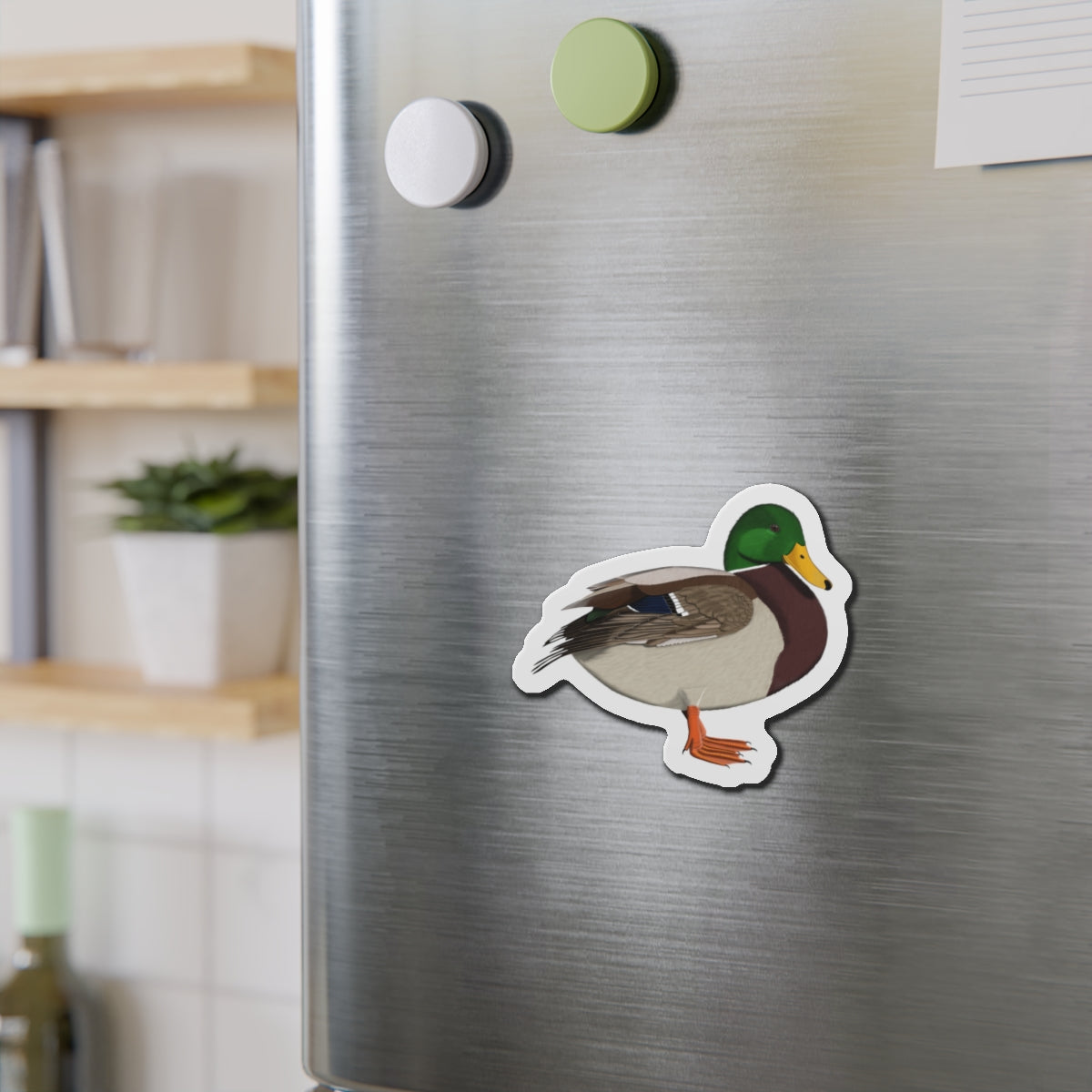 Mallard Bird Magnet