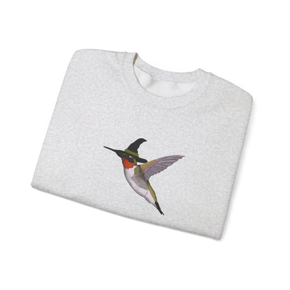 Hummingbird Halloween Birds Witch Birdwatcher Sweatshirt