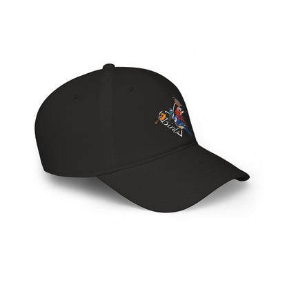 Blue Jay Cardinal Robin Oriole Cap Heart | Birdwatching & Birdlover Backyard Bird Hat