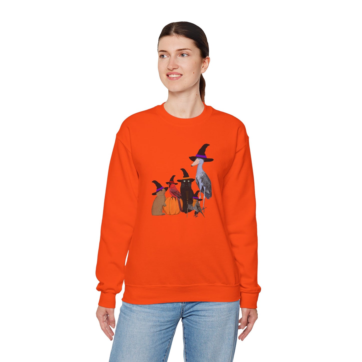 Robin Shoebill Cardinal Rabbit with Cat Happy Halloween Birds Sweatshirt