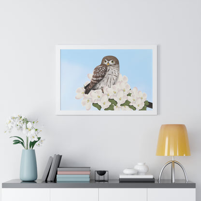 Little Owl Spring Blossoms Bird Framed Poster