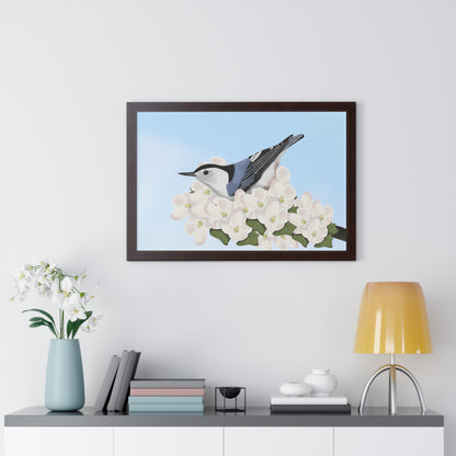 Nuthatch Spring Blossoms Bird Framed Poster