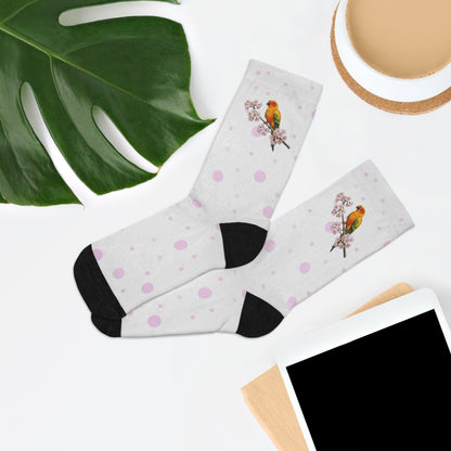 Conure Socks on Accessories background