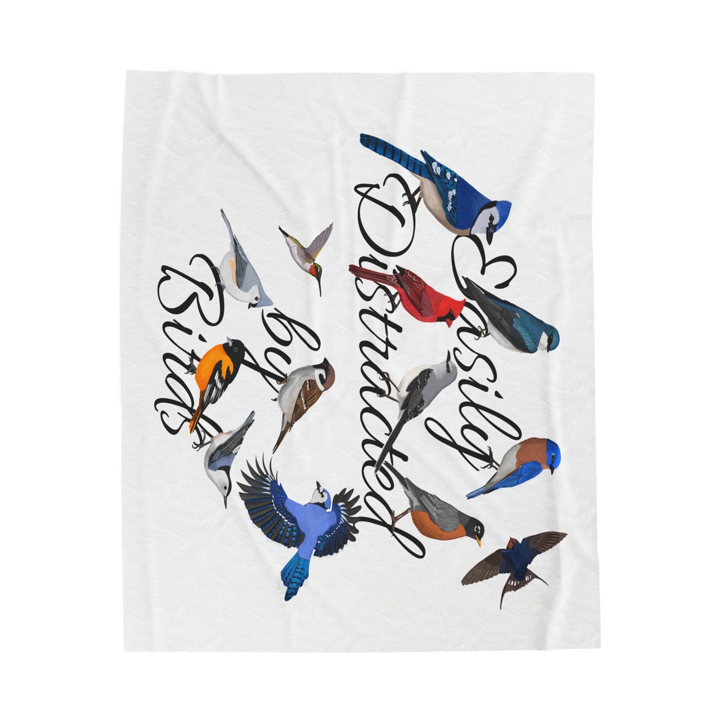 Easily Distracted by Birds Blue Jay Cardinal Robin Bluebird Hummingbird Oriole Backyard Birds Velveteen Plush Blanket White