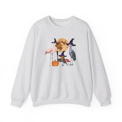 Robin Flamingo Shoebill Halloween Birds Witch Birdwatcher Sweatshirt