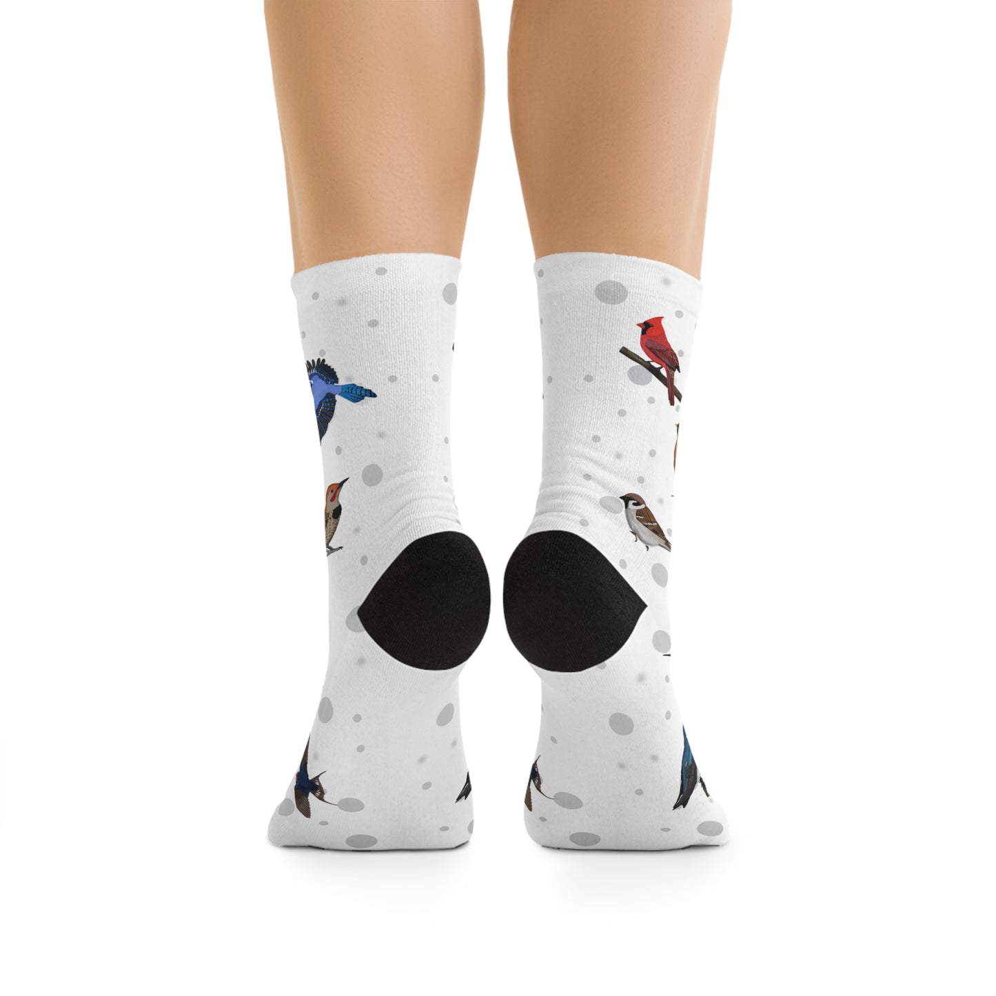Cardinal Robin Bluebird Bird Socks White for Bird Lovers One Size