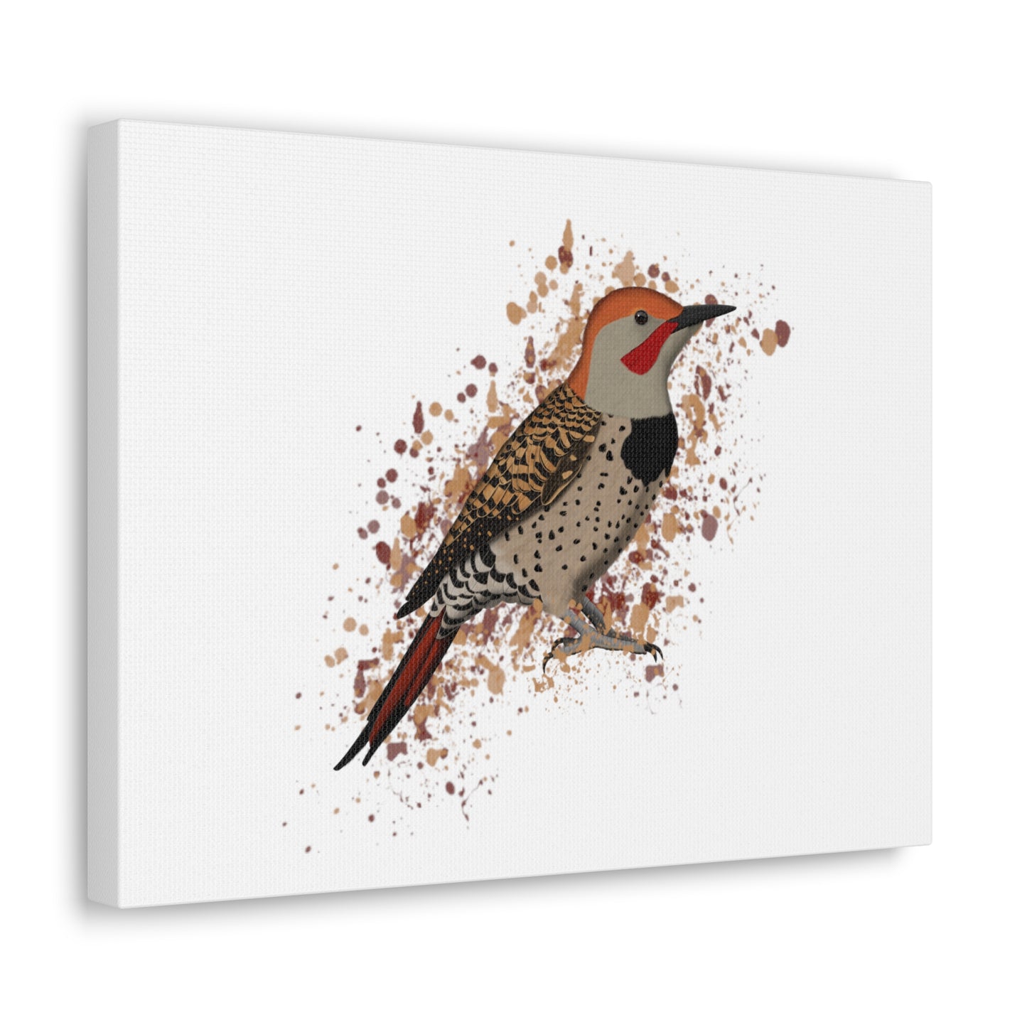 Northern Flicker Bird Canvas Gallery Wrap White