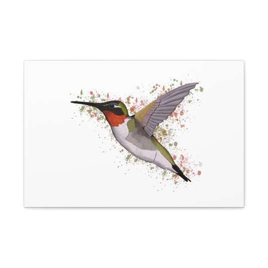 hummingbird bird canvas gallery wrap