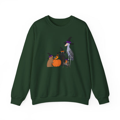 Robin Shoebill Oriole Rabbit with Cat Halloween Birds Sweatshirt