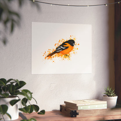 Baltimore Oriole Bird Artwork Matte Poster